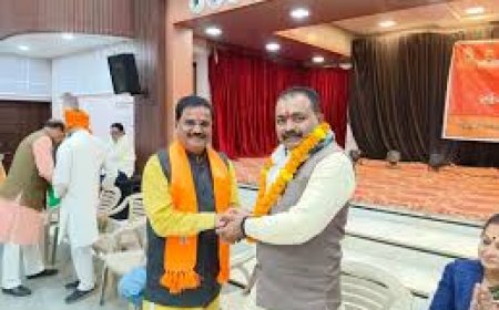 भारतीय जनता पार्टी के मंडल पर्व अंतर्गत मंडल अध्यक्ष, जिला प्रतिनिधियों के नामों की घोषणा जिले के 13 मंडलों में सहमति से निर्वाचित किए मंडल अध्यक्ष