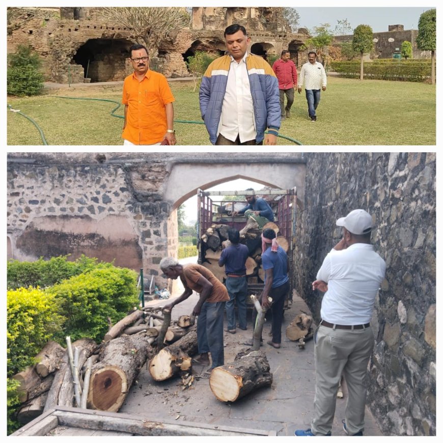 शाही किले में बिना अनुमति के पुराने पेड़ काटे,अधिकारी बोले हमें अनुमति की जरूरत नहीं