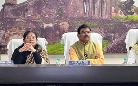 जिला विकास समन्वय एवं निगरानी समिति  दिशा  की बैठक में सांसद पाटील ने दिये निर्देश