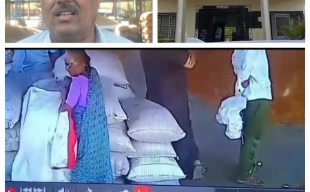 लाइव चोरी - रेणुका कृषि उपज मंडी में नीलामी के दौरान एक महिला ने तुअर के  बोरे पर किया हाथ साफ