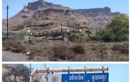 असीरगढ़ में जमीन उगल रही सोने के सिक्के