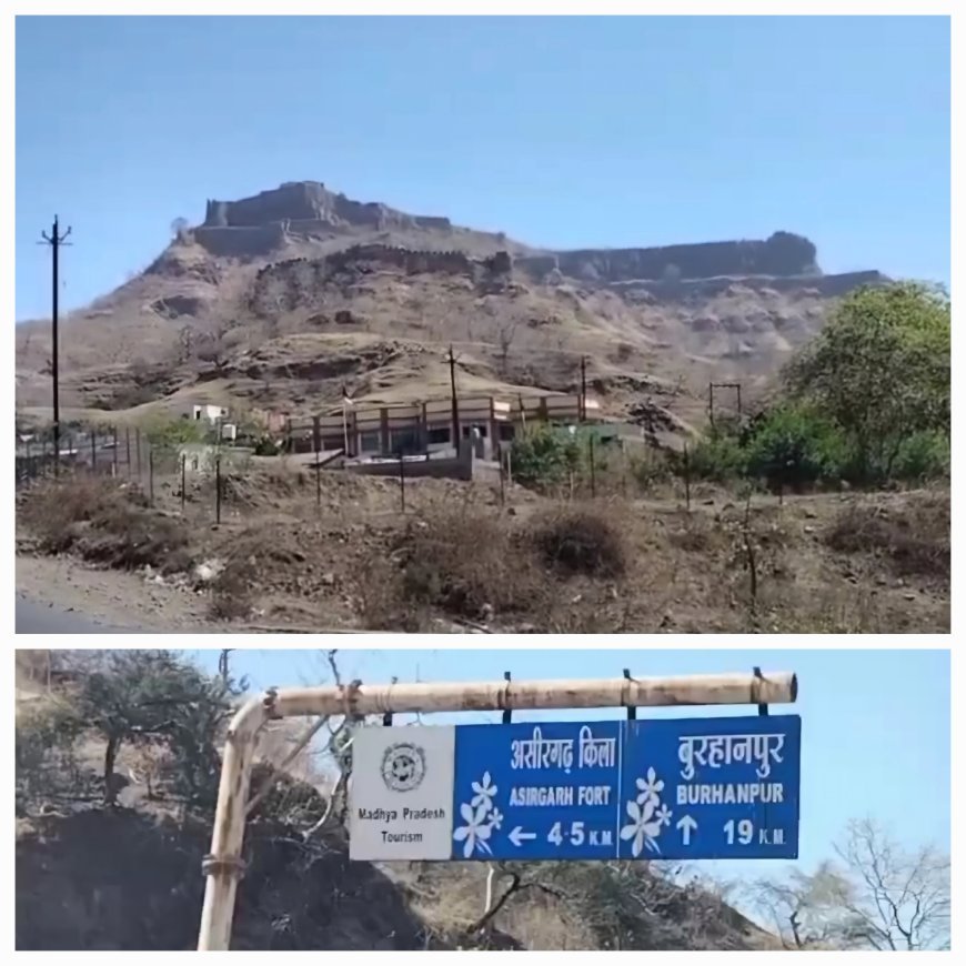 असीरगढ़ में जमीन उगल रही सोने के सिक्के
